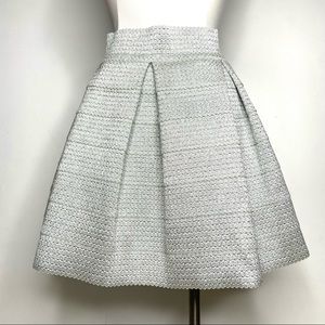 Francesca’s Silver Pleated Rubber Blend Skirt